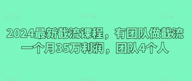 2024最新截流课程，有团队做截流一个月35万利润，团队4个人-优优云网创