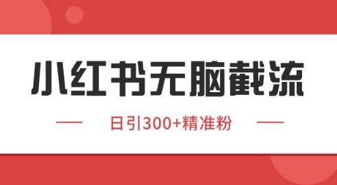 小红书截流同行客源，独家野路子获客玩法 日引200+暴力获客【揭秘】-优优云网创