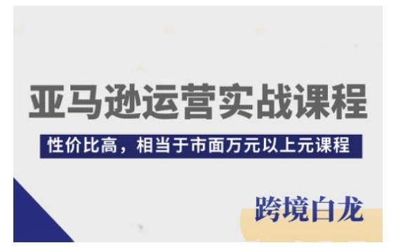 亚马逊运营实战课程，亚马逊从入门到精通，性价比高，相当于市面万元以上元课程-优优云网创