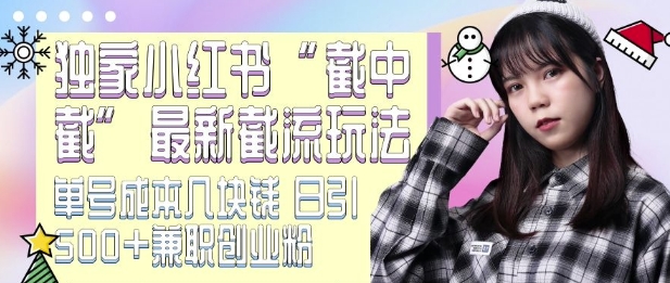最新小红书截流玩法 独家截中截 单号成本几块钱 日引500+CY粉JZ粉-优优云网创