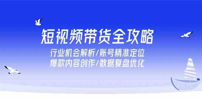 短视频带货全攻略，行业机会解析/账号精准定位/爆款内容创作/数据复盘优化-优优云网创
