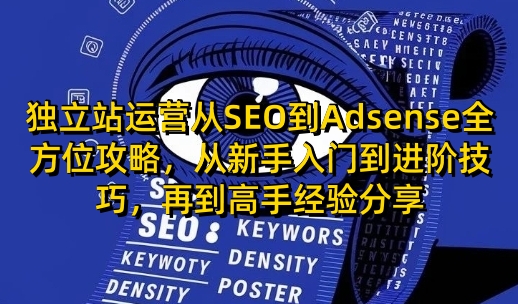 独立站运营从SEO到Adsense全方位攻略，从新手入门到进阶技巧，再到高手经验分享-优优云网创