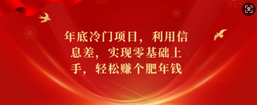 年底冷门项目，利用信息差，实现零基础上手，轻松赚个肥年钱【揭秘】-优优云网创