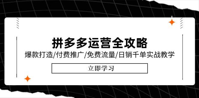 （15085期）拼多多运营全攻略，爆款打造/付费推广/免费流量/日销千单实战教学/6月更新-优优云网创