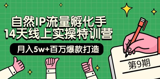 (9881期)自然IP流量孵化手 14天线上实操特训营【第9期】月入5w+百万爆款打造 (74节)-优优云网创