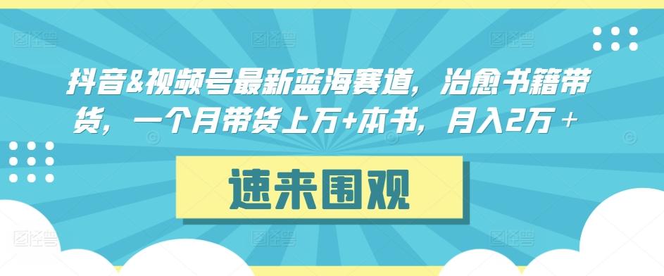 抖音&视频号最新蓝海赛道，治愈书籍带货，一个月带货上万+本书，月入2万＋【揭秘】-优优云网创