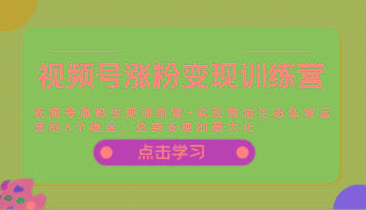 视频号涨粉变现训练营-实现微信生态私域运营的3个维度，达到变现的最大化-优优云网创