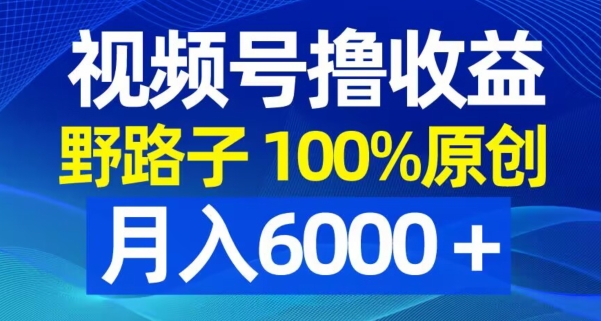 视频号野路子撸收益，100%原创，条条爆款，月入6000＋【揭秘】-优优云网创