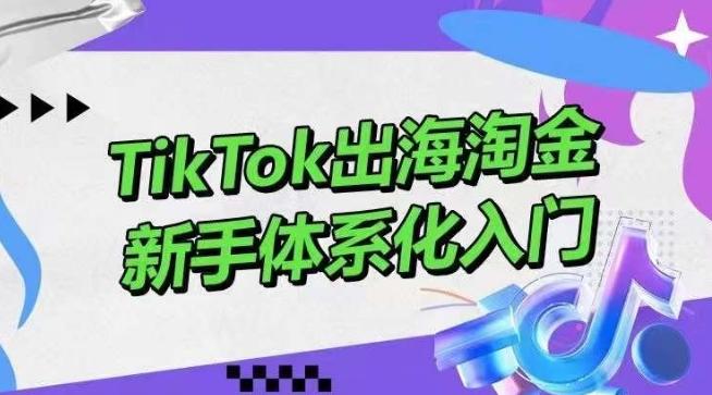 TikTok出海淘金，新手体系化入门，零基础快速入门，掌握短视频、直播带货等引流到变现的知识-优优云网创