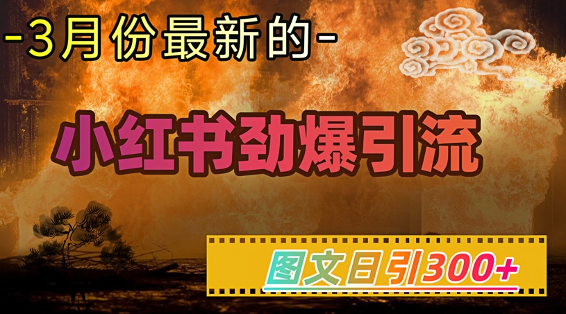 小红书超劲爆引流手段，图文日引300+轻松变现1W-优优云网创
