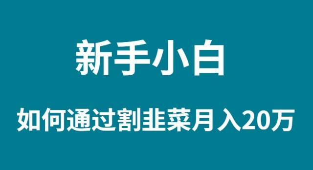 (9308期)新手小白如何通过割韭菜月入 20W-优优云网创