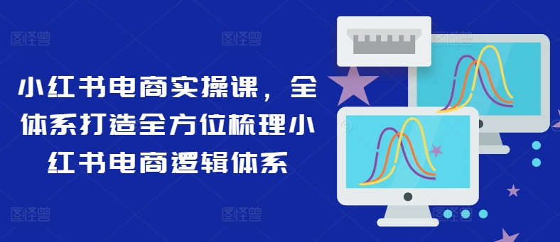 小红书电商实操课，全体系打造全方位梳理小红书电商逻辑体系-优优云网创