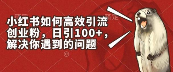 小红书如何高效引流创业粉，日引100+，解决你遇到的问题【揭秘】-优优云网创
