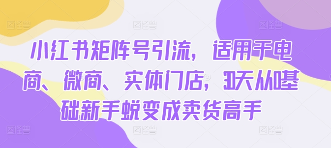 小红书矩阵号引流，适用于电商、微商、实体门店，30天从0基础新手蜕变成卖货高手-优优云网创