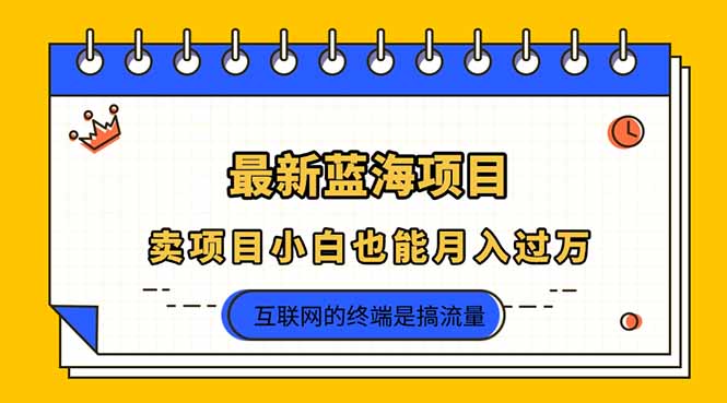 2025年最新蓝海项目，卖项目小白也能月入过万-优优云网创