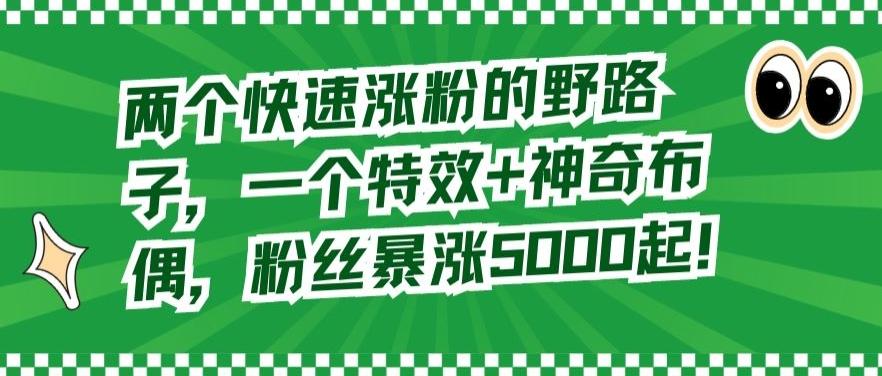两个快速涨粉的野路子，一个特效+神奇布偶，粉丝暴涨5000起【揭秘】-优优云网创