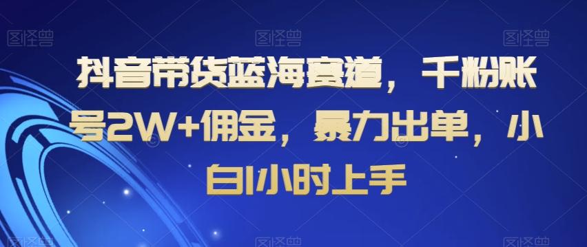 抖音带货蓝海赛道，千粉账号2W+佣金，暴力出单，小白1小时上手【揭秘】-优优云网创