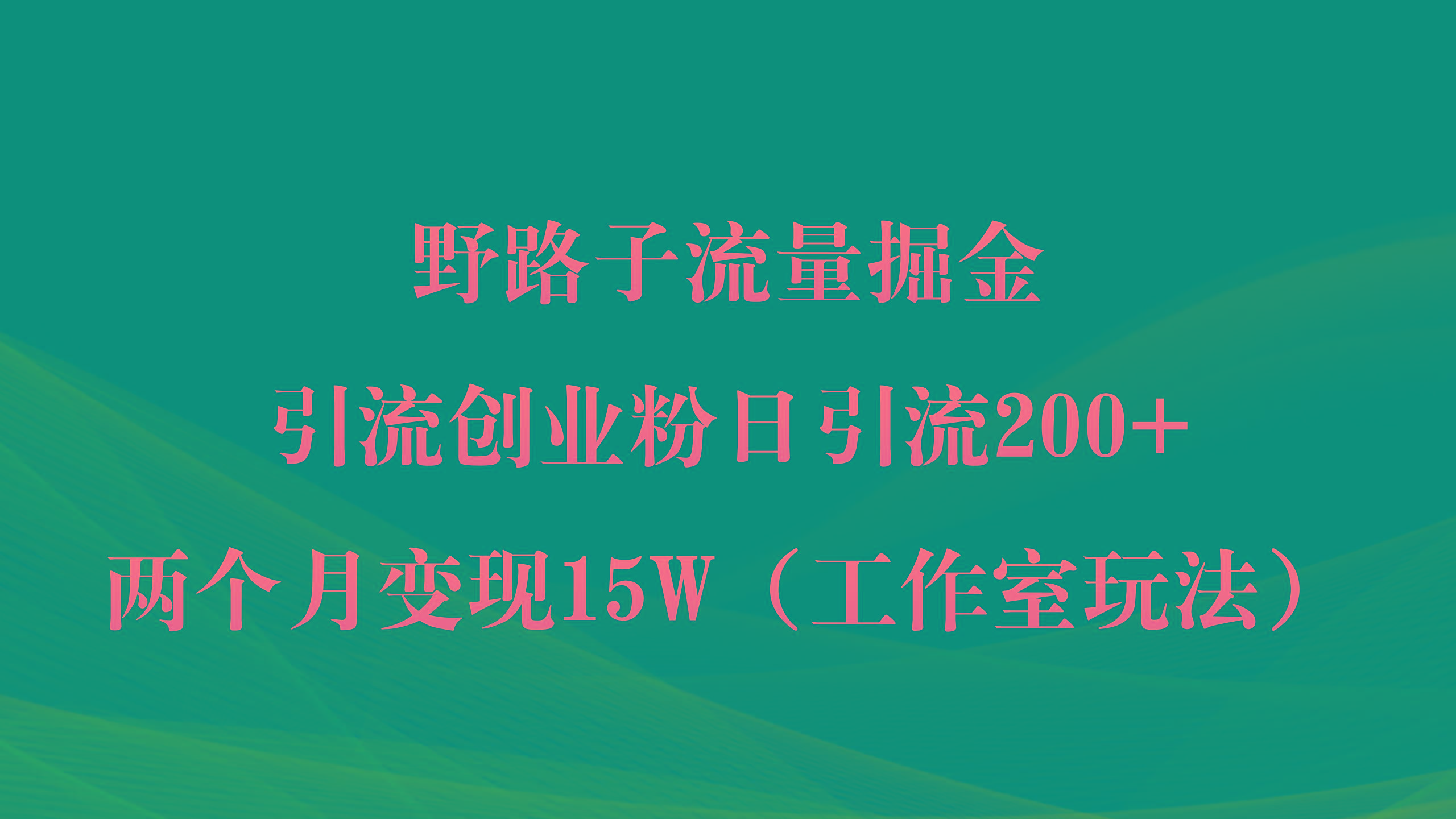 (9513期)野路子流量掘金，引流创业粉日引流200+，两个月变现15W(工作室玩法))-优优云网创