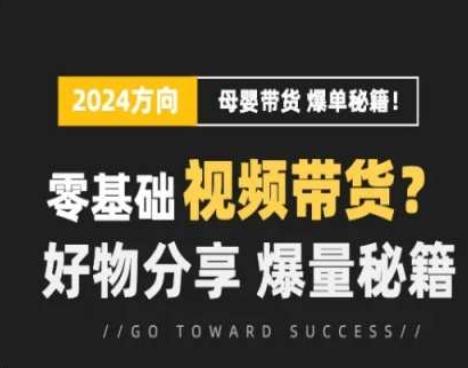 短视频母婴赛道实操流量训练营，零基础视频带货，好物分享，爆量秘籍-优优云网创