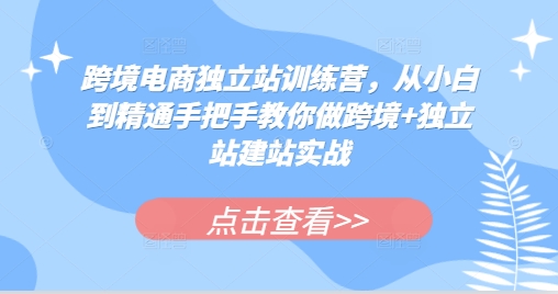 跨境电商独立站训练营，从小白到精通手把手教你做跨境+独立站建站实战-优优云网创