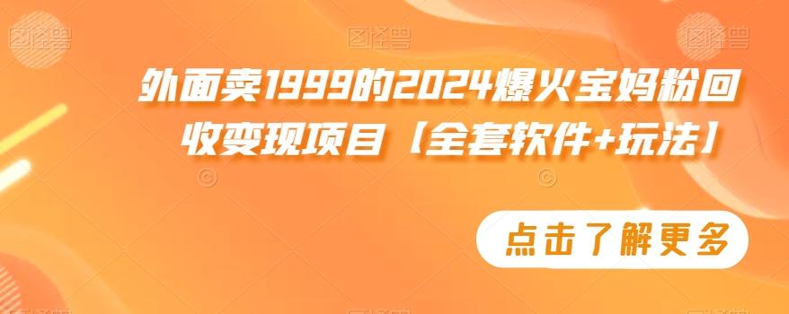 外面卖1999的2024爆火宝妈粉回收变现项目【全套软件+玩法】【揭秘】-优优云网创
