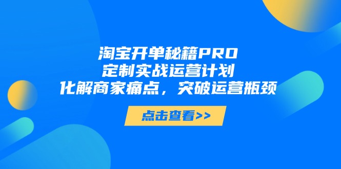 淘宝开单秘籍PRO，定制实战运营计划，化解商家痛点，突破运营瓶颈-优优云网创