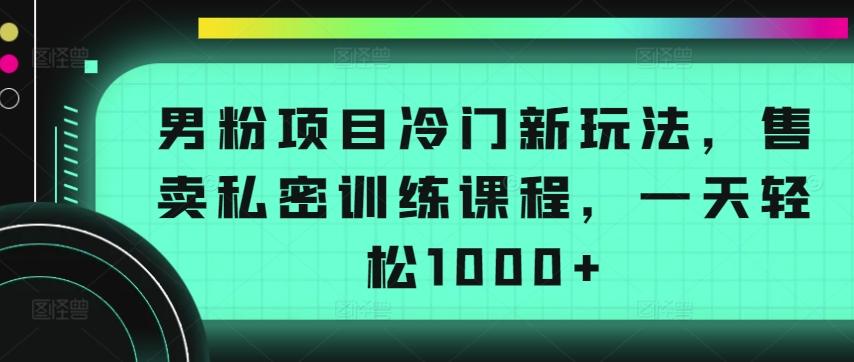 男粉项目冷门新玩法，售卖私密训练课程，一天轻松1000+【揭秘】-优优云网创