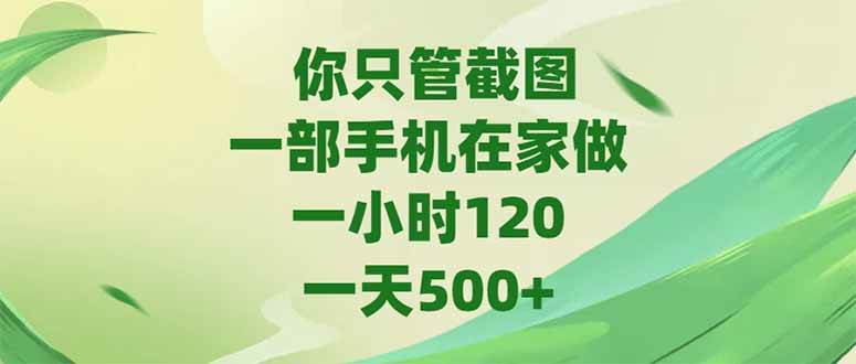 （15039期）你只管截图，一部手机在家做，一小时120，-天500+-优优云网创