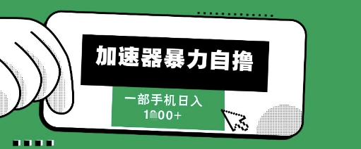 205新风口，加速器暴力自撸，单机日入1k+【揭秘】-优优云网创