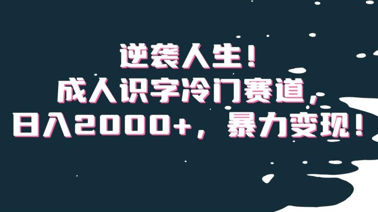 逆袭人生！成人识字冷门赛道，日入2000+，暴力变现！【揭秘】-优优云网创