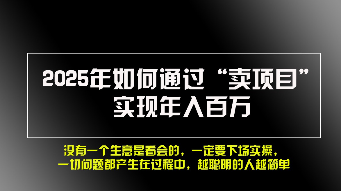 2025年如何通过“卖项目”实现年入百万-优优云网创
