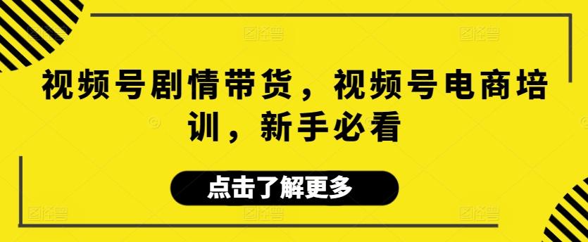 视频号剧情带货，视频号电商培训，新手必看-优优云网创