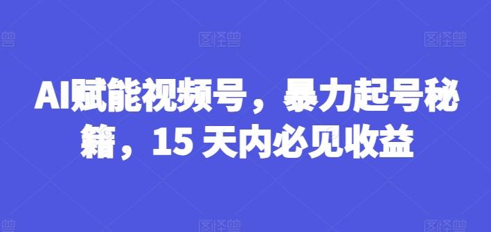 AI赋能视频号，暴力起号秘籍，15 天内必见收益【揭秘】-优优云网创