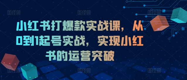 小红书打爆款实战课，从0到1起号实战，实现小红书的运营突破-优优云网创