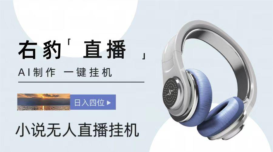 右豹小说无人直播挂机吸金项目，简单易行收益稳定， 月入1000+-优优云网创