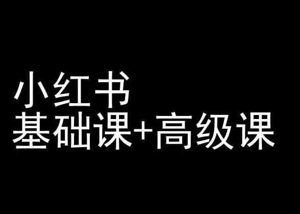 小红书基础课+高级课-小红书运营教程-优优云网创