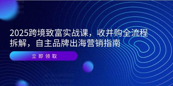 （14975期）2025跨境致富实战课，收并购全流程拆解，自主品牌出海营销指南-优优云网创