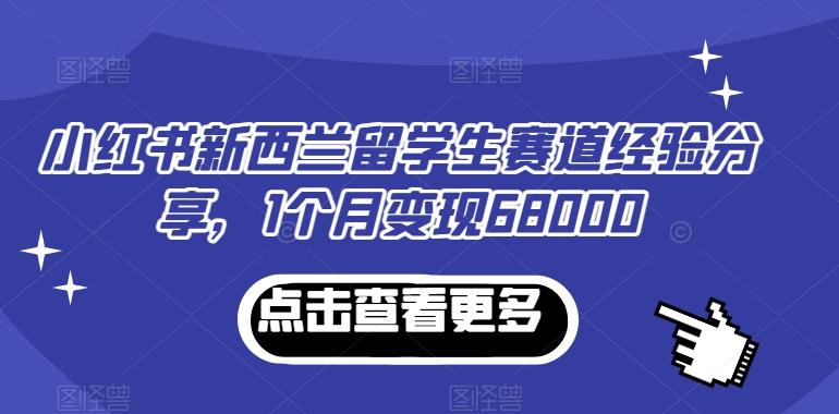 小红书新西兰留学生赛道经验分享，1个月变现68000【揭秘】-优优云网创