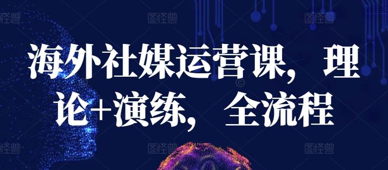 海外社媒运营课，理论+演练，全流程-优优云网创