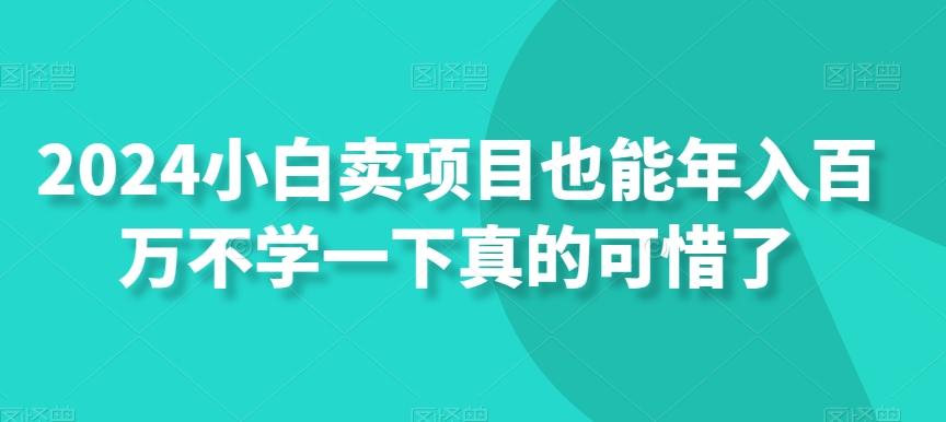 2024小白卖项目也能年入百万不学一下真的可惜了-优优云网创