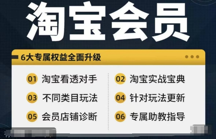 淘宝会员【淘宝所有课程，全面分析对手】，初级到高手全系实战宝典-优优云网创
