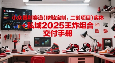 小众暴利赛道(球鞋定制，二创项目)实体+私域2025王炸组合 交付手册-优优云网创