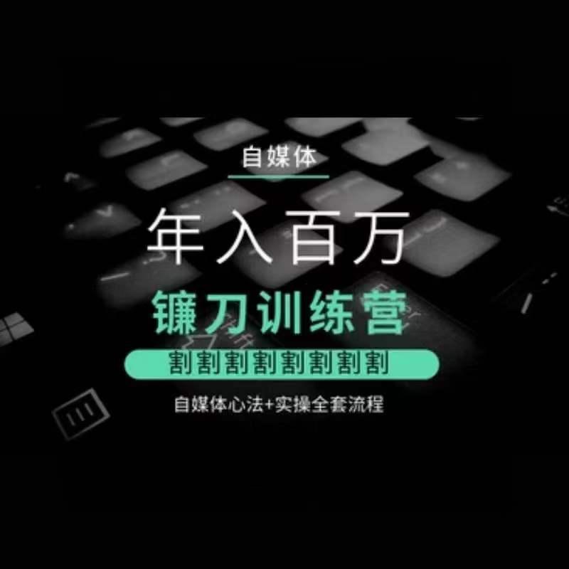 自媒体年入百万镰刀训练营，割割割割割割割割，自媒体心法+实操全套流程-优优云网创