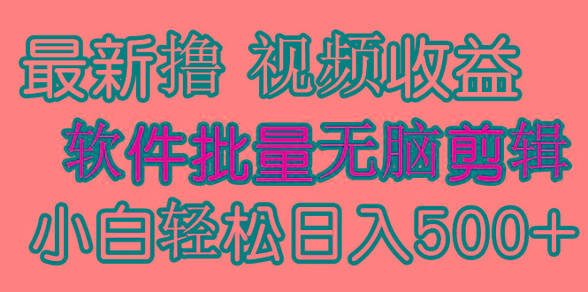 (9569期)发视频撸收益，软件无脑批量剪辑，第一天发第二天就有钱-优优云网创