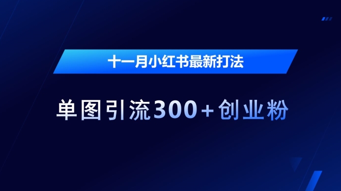 十一月小红书最新打法，单图引流300+创业粉【揭秘】-优优云网创