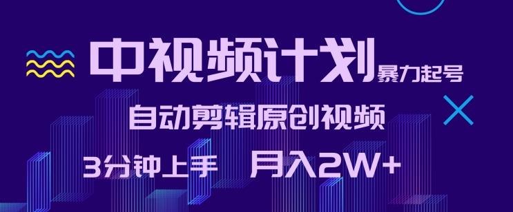 中视频计划暴力起号，自动剪辑原创视频，3分钟上手，月入2W+【揭秘】-优优云网创