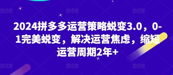 2024拼多多运营策略蜕变3.0，0-1完美蜕变，解决运营焦虑，缩短运营周期2年+-优优云网创