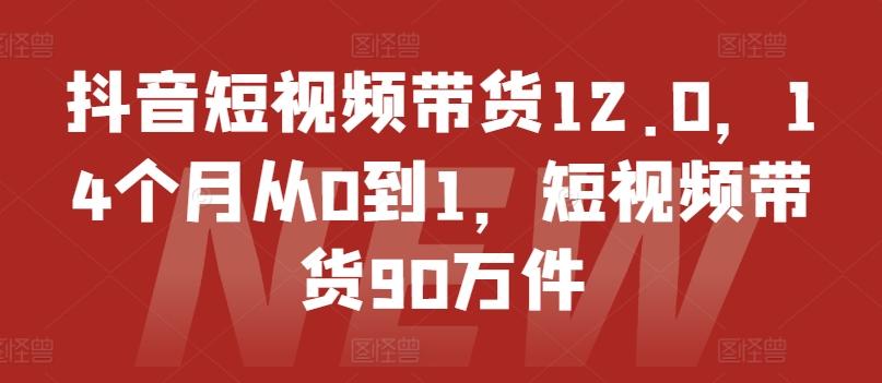 抖音短视频带货12.0，14个月从0到1，短视频带货90万件-优优云网创