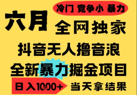 25年6月高爆抖音无人直播最新撸音浪掘金项目，小白可做，无脑日入1k+，门槛低可批量矩阵【揭秘】-优优云网创