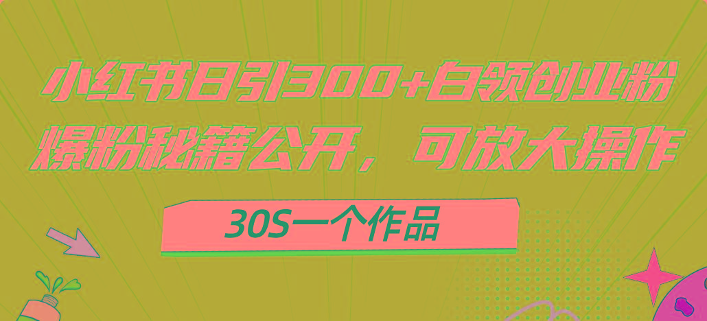小红书日引300+高质白领创业粉，可放大操作，爆粉秘籍！30s一个作品-优优云网创